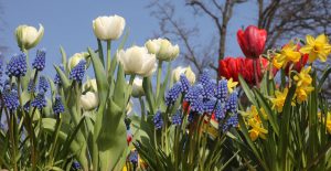 Top 10 things to do in March